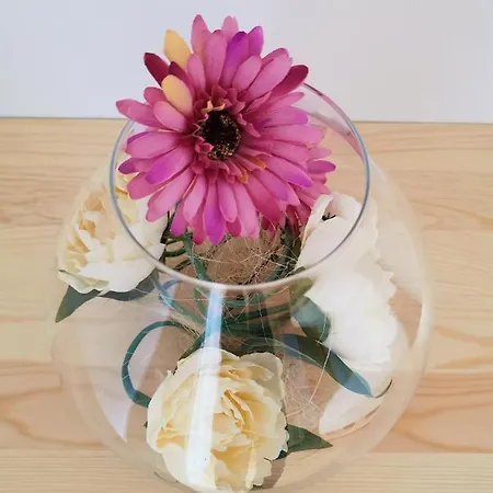 Toporowe W Chocholowskiej Alpehytte *