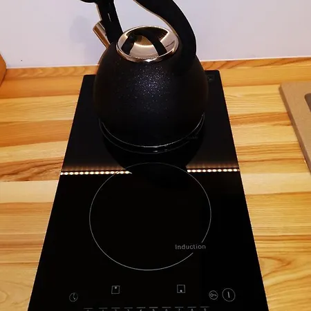 Alpehytte Toporowe W Chocholowskiej Witów